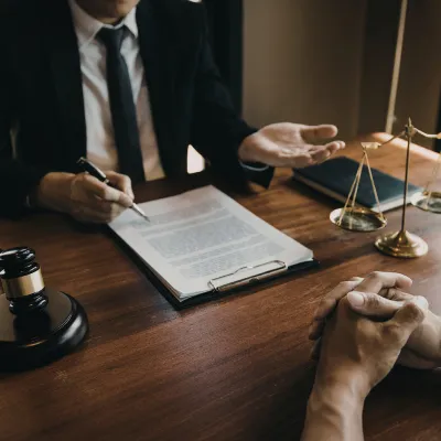 Professional Services: Lawyers, CA Firms, Consultants